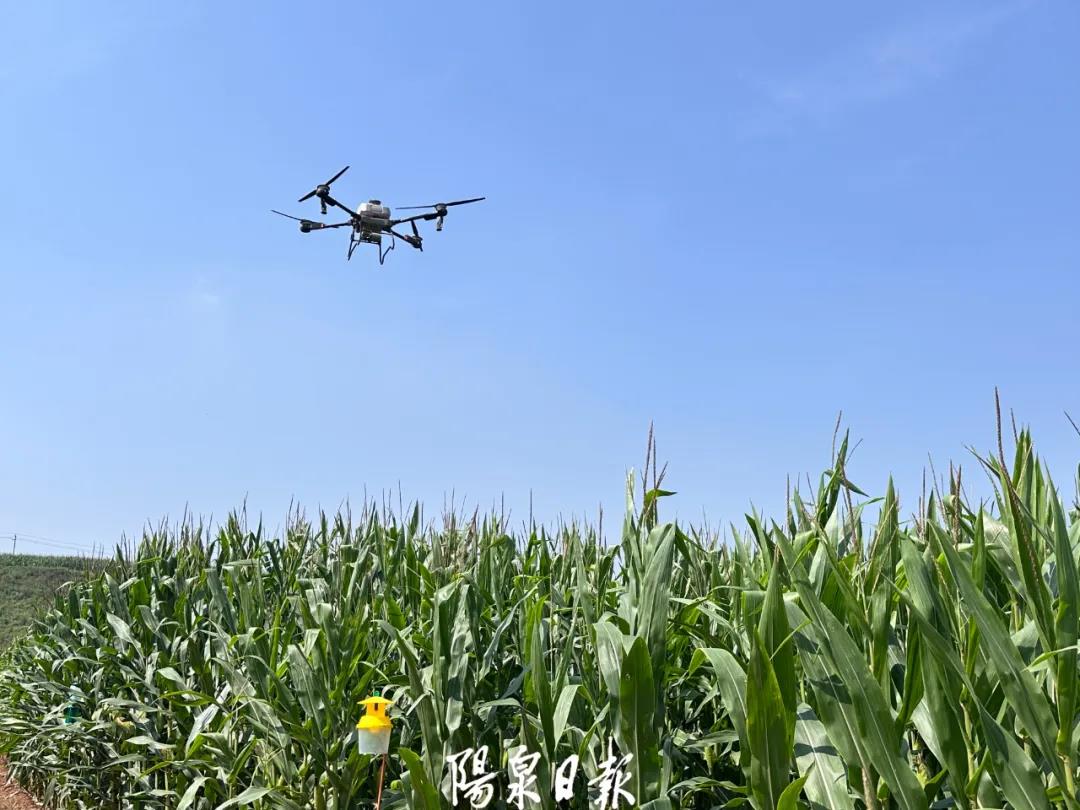 10.5億→17.3億！破譯陽泉“特”“優”農業發展密碼